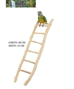 Java Wood Parrot Ladder Medium 60cm x 15cm